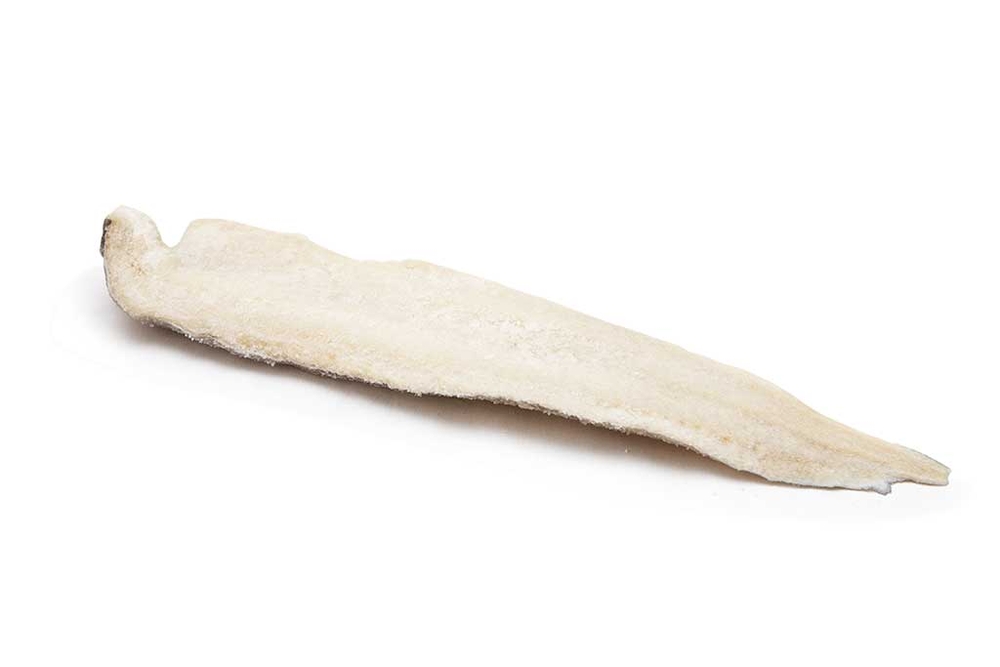 FILETTO DI MOLVA SALATO (700-1000)